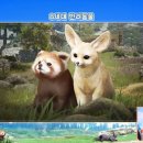 그린종합카인테리어 루리웹 뉴스