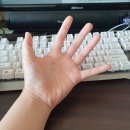 항상 가져다니는 화미주 휴대용 손소독제 후기