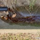 색달동-26 이미지