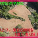 한반도면-1 이미지