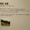 진화 묘 | 고려한림학사 매호 진화 묘(용인시박물관)
