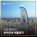 대천해수욕장 제3망루 네이버블로그