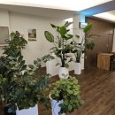 원스타임오프 이미지