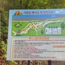 내공리700 이미지