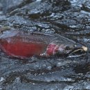 무지개언덕 이미지