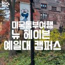 뉴헤이븐 | [미국동부] 뉴욕 근교 여행 당일치기 뉴헤이븐 예일대 캠퍼스 투어 후기