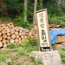 행복을사게 이미지