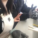 본아뜰리에 | 서울 성수 반지공방 추천? 직접 가본 아뜰리에 호수 성수 연무장 리얼후기