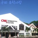 씨엔케이(CNK) Daum카페