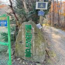 애견마을 이미지