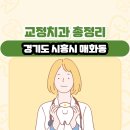 경기도 시흥시 매화동 교정치과 총정리