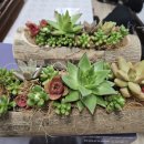 석교1리 이미지