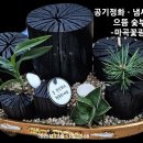 마곡꽃광장 이미지