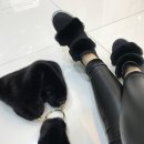써니레더 이미지