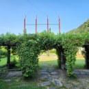 팜파스휴게식당 이미지