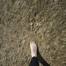 10월 1일 (일,국군의 날) 맨발걷기 만보인증 🦶👣🦵🦶👣🦵 이미지