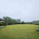 대부환경 | [경기도여행] 안산 대부광산 퇴적암층(安山大阜鑛山堆積巖層)