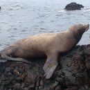 내장치안센터 이미지