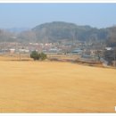 상내농장 네이버블로그