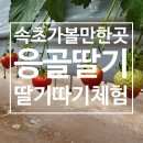 응골농장 이미지