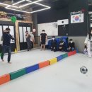사상태권도 이미지