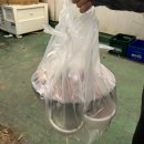 백록횟집 | 제주 백록집 함덕횟집 노포감성 모듬회 포장후기