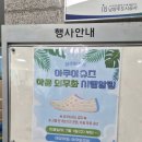 🌊 [남양주 아쿠와조이] 주말 일요일 오픈런 현장발매 성공 후기! (준비물, 주차, 썬베드 꿀팁 총정리)