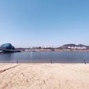 불타는생선구이