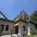 215 | 파주 심학산 대형카페 테라스 215 솔직후기 | 망고빙수·바닐라라떼·아이스아메리카노·케익