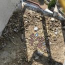 태왕아너스오션경로당 | 포항 태왕 아너스 오션 비둘기 퇴치망 설치 후기