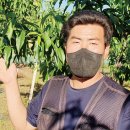 천공농장 이미지