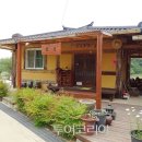 두동편백마을 이미지