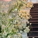wedding #7 | 강남 삼성역 웨딩홀 소노펠리체 방문 상담 예약 후기👰🏻‍♀️🤍 전화 꿀팁 공유
