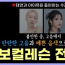 트렌디보이스 이미지