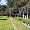 장연목장 이미지