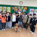 계동초등학교 이미지