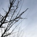 매리앤스가든민박 이미지