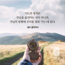 창세기 19:1 – 19:11 부지중에 환대한 천사, 위기에서 건지시는 손길 이미지