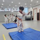 신중태권도 이미지