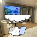 브라운도트 영도대교점 이미지