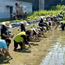 포리초등학교 이미지