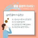 서원동-23 네이버블로그