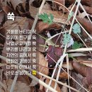 비로소봄 이미지