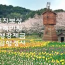 미담 행정사 사무소 이미지