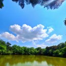 당구사랑 이미지