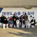 한국체대 국가대표 태권도 | [전주 효천지구 국가대표 스타태권도] 2025년 1분기 국기원 심사 100% 합격! 합격의 비결은?!