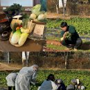 동아농원