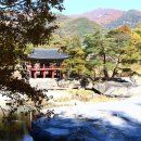 호성계곡 이미지