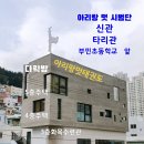 아리랑 멋 타리 태권도장 이미지