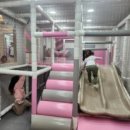감동대패·갈비